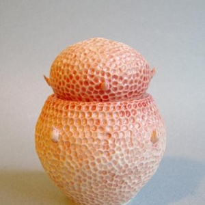 Red Urchin Cup